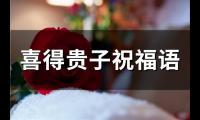 关于喜得贵子祝福语(精选43句)大全