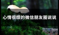 心情很烦的微信朋友圈说说(精选66句)