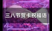 三八节贺卡祝福语(63句)