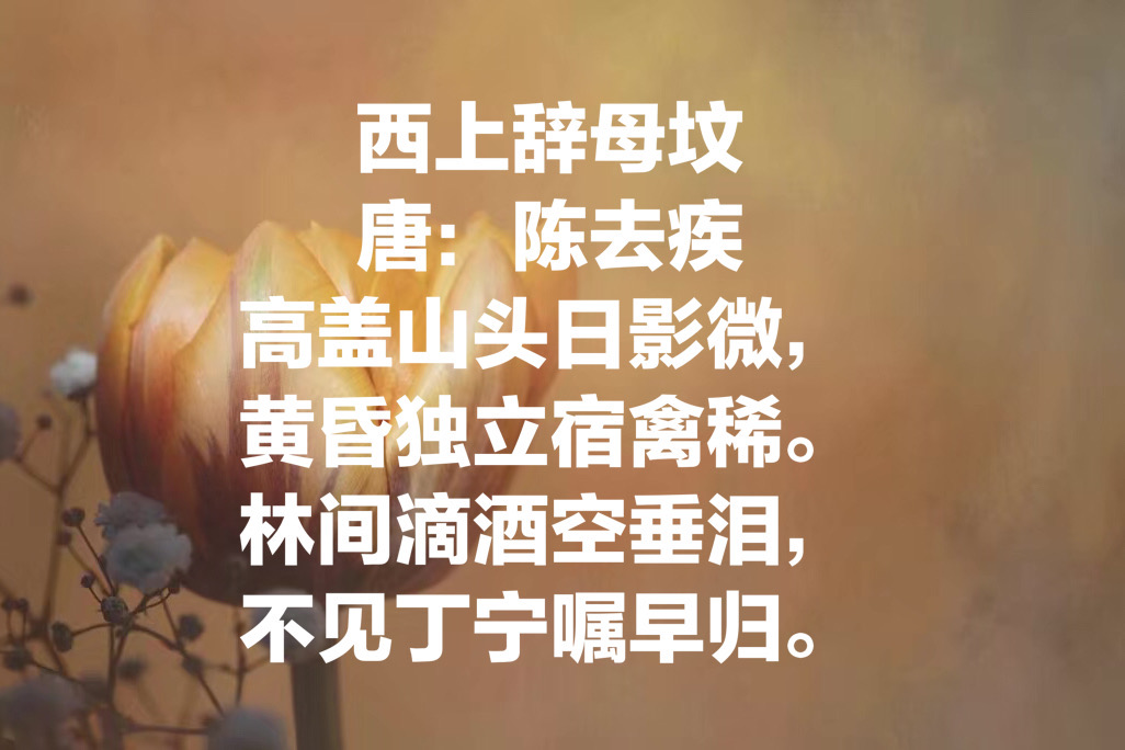 今日母亲节：欣赏十首关于母亲的古诗，感受诗中对母亲的浓浓爱意