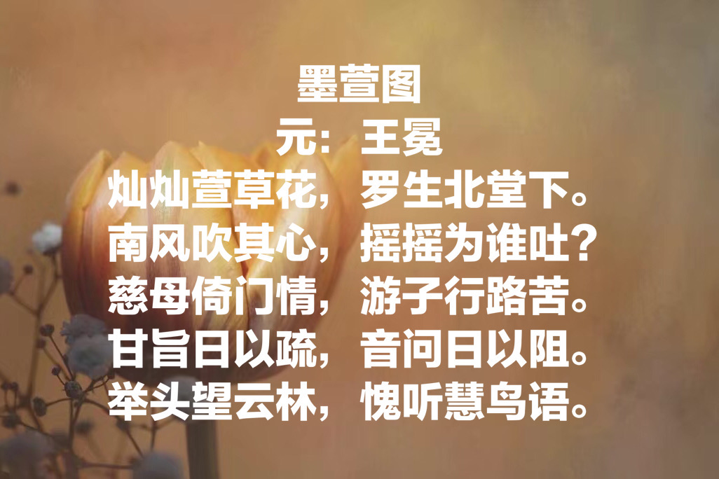 今日母亲节：欣赏十首关于母亲的古诗，感受诗中对母亲的浓浓爱意