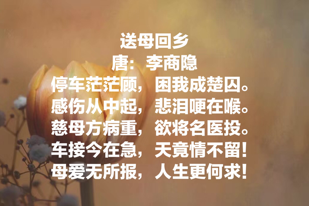 今日母亲节：欣赏十首关于母亲的古诗，感受诗中对母亲的浓浓爱意