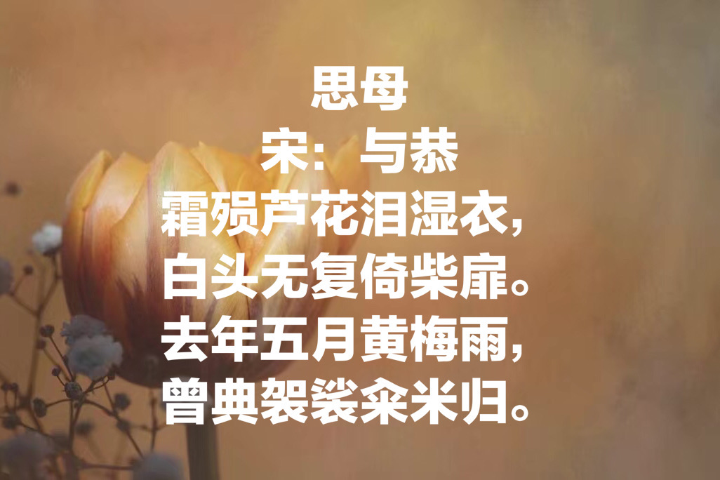 今日母亲节：欣赏十首关于母亲的古诗，感受诗中对母亲的浓浓爱意