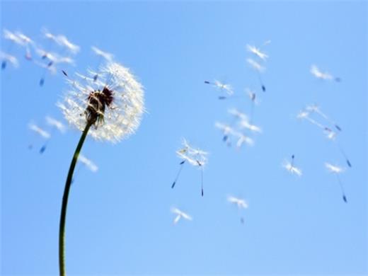 6月的第一天新的开始说说