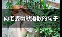 向老婆幽默道歉的句子(精选91句)