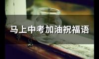 家长给孩子中考的祝福加油的话