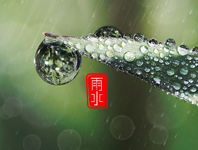 2023雨水节气朋友圈祝福语 雨水节气朋友圈短句