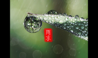 关于2023雨水节气朋友圈祝福语(雨水节气朋友圈短句)大全