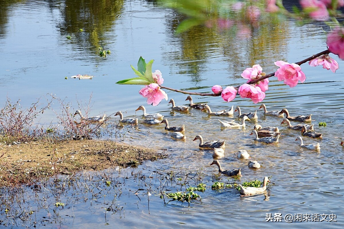 五首宋诗中的最美春天，云淡风轻，傍花随柳，“万紫千红总是春”