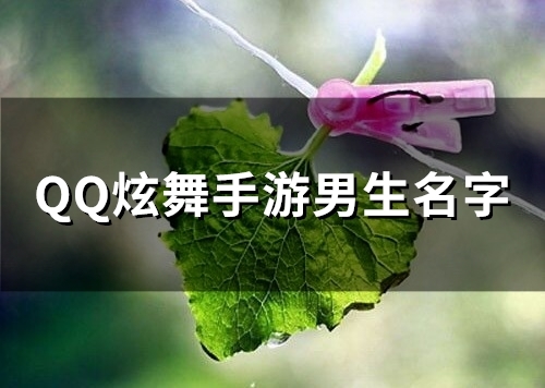 QQ炫舞手游男生名字(106个)