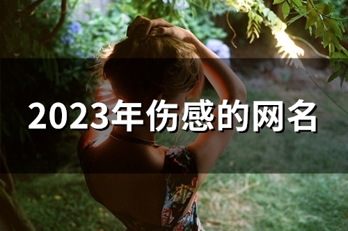 2023年伤感的网名(138个)