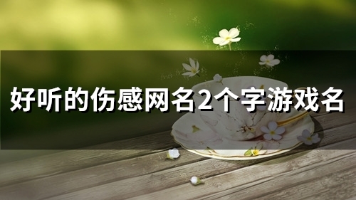 好听的伤感网名2个字游戏名(124个)