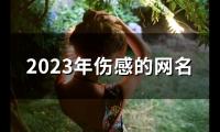 关于2023年伤感的网名(138个)大全