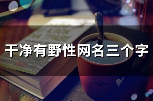 干净有野性网名三个字(精选110个)