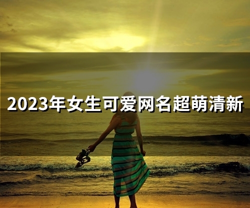 2023年女生可爱网名超萌清新(144个)