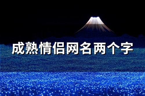 成熟情侣网名两个字(优选178个)