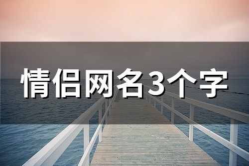 情侣网名3个字(精选105个)