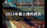 关于2023年最火爆的网名(共162个)大全