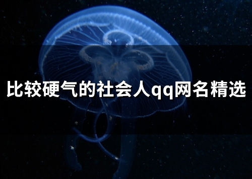 比较硬气的社会人qq网名精选(共200个)