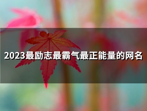 2023最励志最霸气最正能量的网名(共99个)