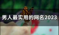 关于男人最实用的网名2023(194个)大全