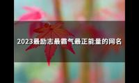 关于2023最励志最霸气最正能量的网名(共99个)大全