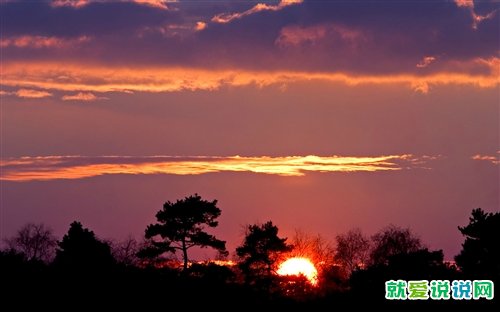 能引起共鸣的人生感悟文案