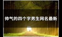 关于帅气的四个字男生网名最新(共195个)大全