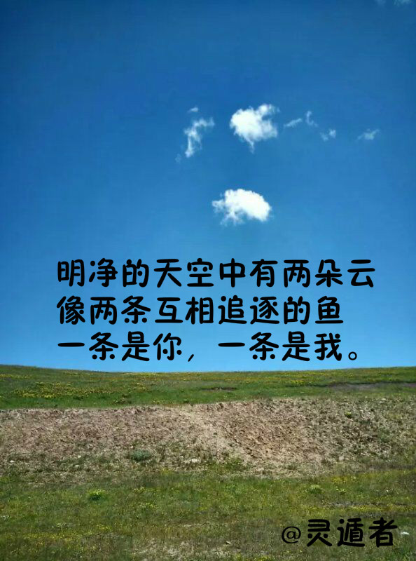 灵遁者现代青春励志诗歌14首，生命是一场旅行！