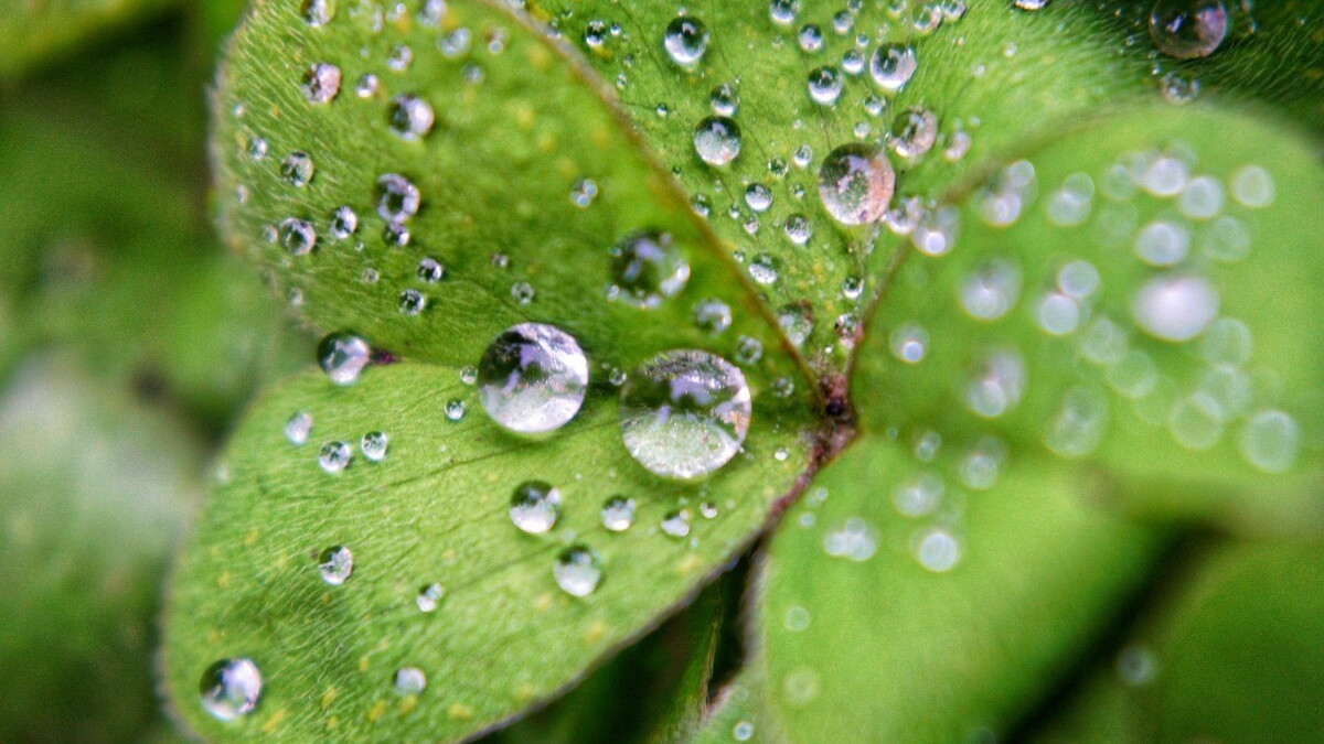 雨水节气，送你三首春雨的古诗，带你邂逅时光里的春天