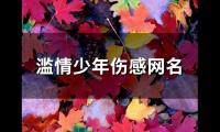 关于滥情少年伤感网名(优选80个)大全