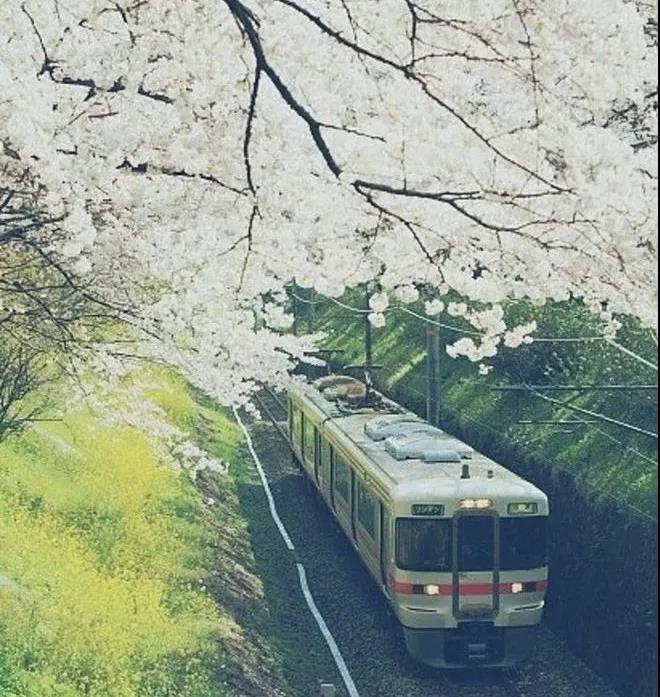 7首经典旅行古诗词！当旅游遇上诗词意更悠远！