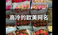 关于高冷的欧美网名(102个)大全