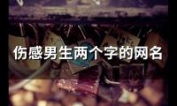 关于伤感男生两个字的网名(精选111个)大全