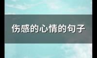 伤感的心情的句子(必备287句)【图】