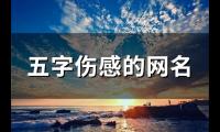 关于五字伤感的网名(优选92个)大全