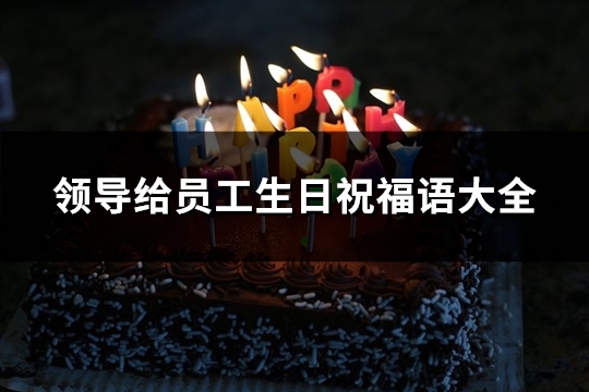 领导给员工生日祝福语大全(优选102句)