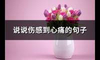 说说伤感到心痛的句子(必备86句)【图】