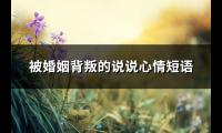 被婚姻背叛的说说心情短语(热门71句)【图】