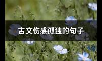 古文伤感孤独的句子(87句)【图】