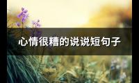 心情很糟的说说短句子(热门49句)【图】