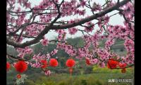 春节诗词名句有哪些（关于春节最有名的古诗）