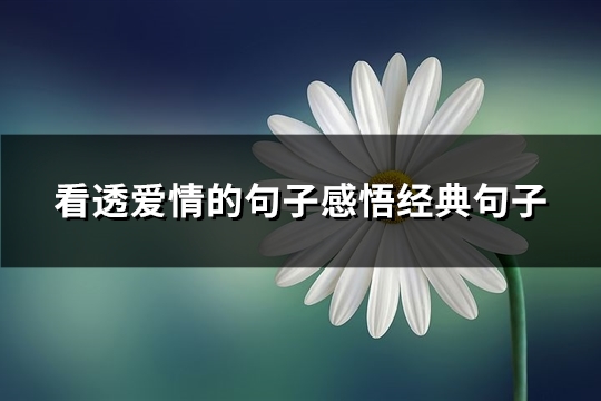 看透爱情的句子感悟经典句子(优选64句)