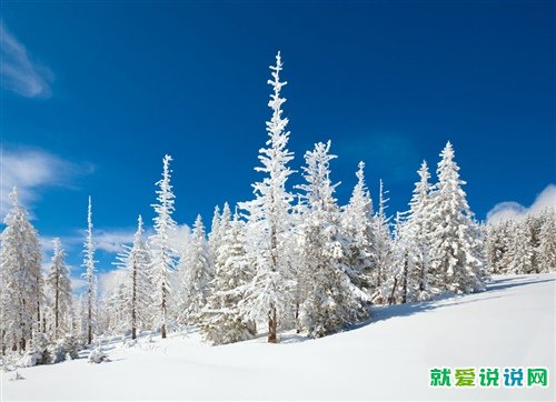 下雪时适合朋友圈的发的句子2021