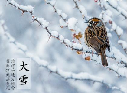 不俗气祝新婚的古诗词