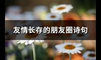 友情长存的朋友圈诗句(通用49句)【图】