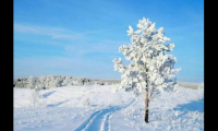 关于下雪天朋友圈心情短语(抖音雪天说说大全吸引人)大全