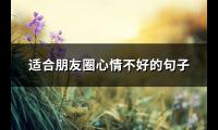 适合朋友圈心情不好的句子(优选67句)【图】