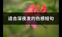 适合深夜发的伤感短句(推荐74句)【图】