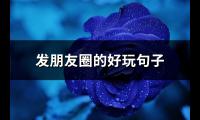 发朋友圈的好玩句子(推荐73句)【图】